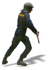Policejní násilí
